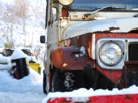 DSC_0510.JPG